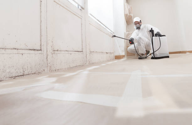 24/7 Emergency Attic Mold Removal experts in Frostburg, MD